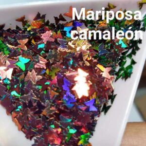 Decoración Mariposa Camaleon