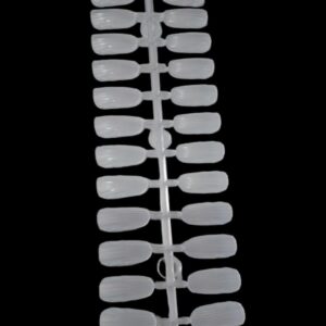 Muestrario Cristal Concha